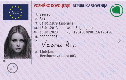 Original Slovenia Driving licence