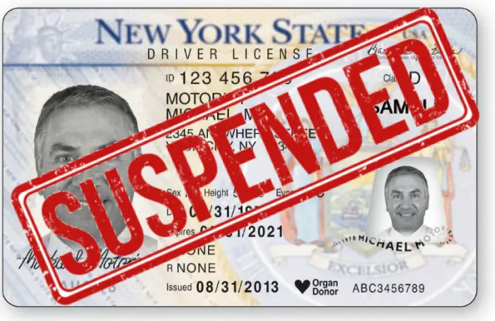 SUSPENDED & REVOKED LICENSES 1 suspended and revoked Driver's licenses in Europe